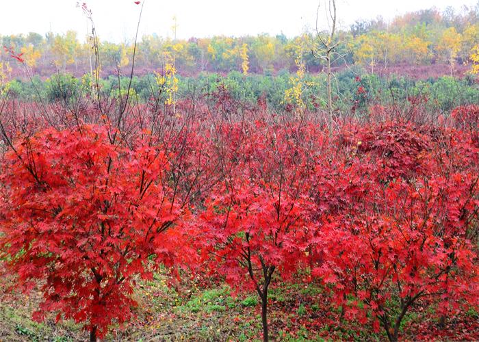 �Ͼ�����