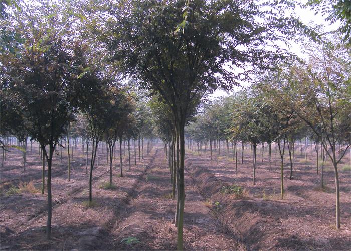 ���w����