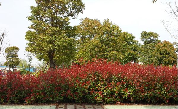 �������ݞ��^(q��)�����M���ϰ����d�� һ·һ�����ֽ����d�ȶ�·һ�d����·�����o(h��)�֎�����